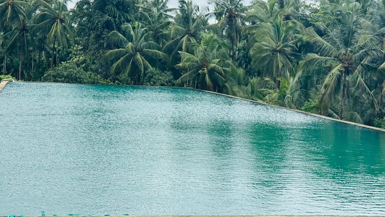The water surface of the reservoir meeting its concrete edge, palms behind.