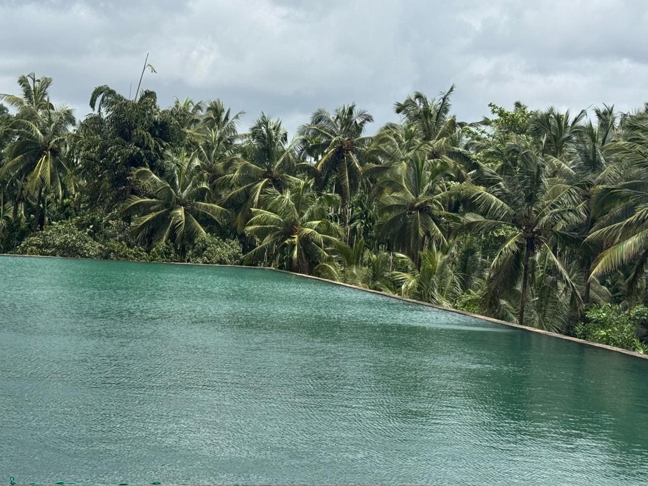 The reservoir at Kudukoli, its far bank lined with coconut palms, under an overcast monsoon sky.