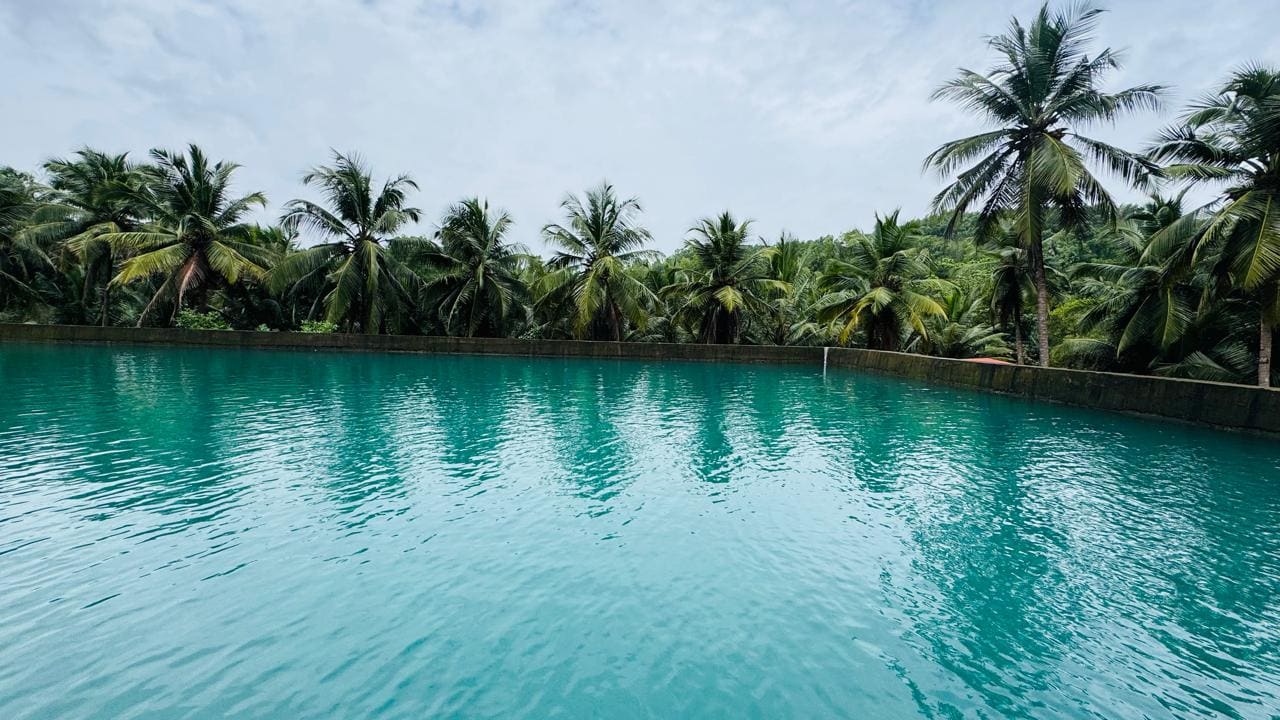A low view across the reservoir at Kudukoli towards its concrete retaining wall and the palm treeline.